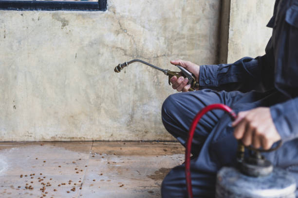 Best Local Pest Control Services  in Churchville, PA